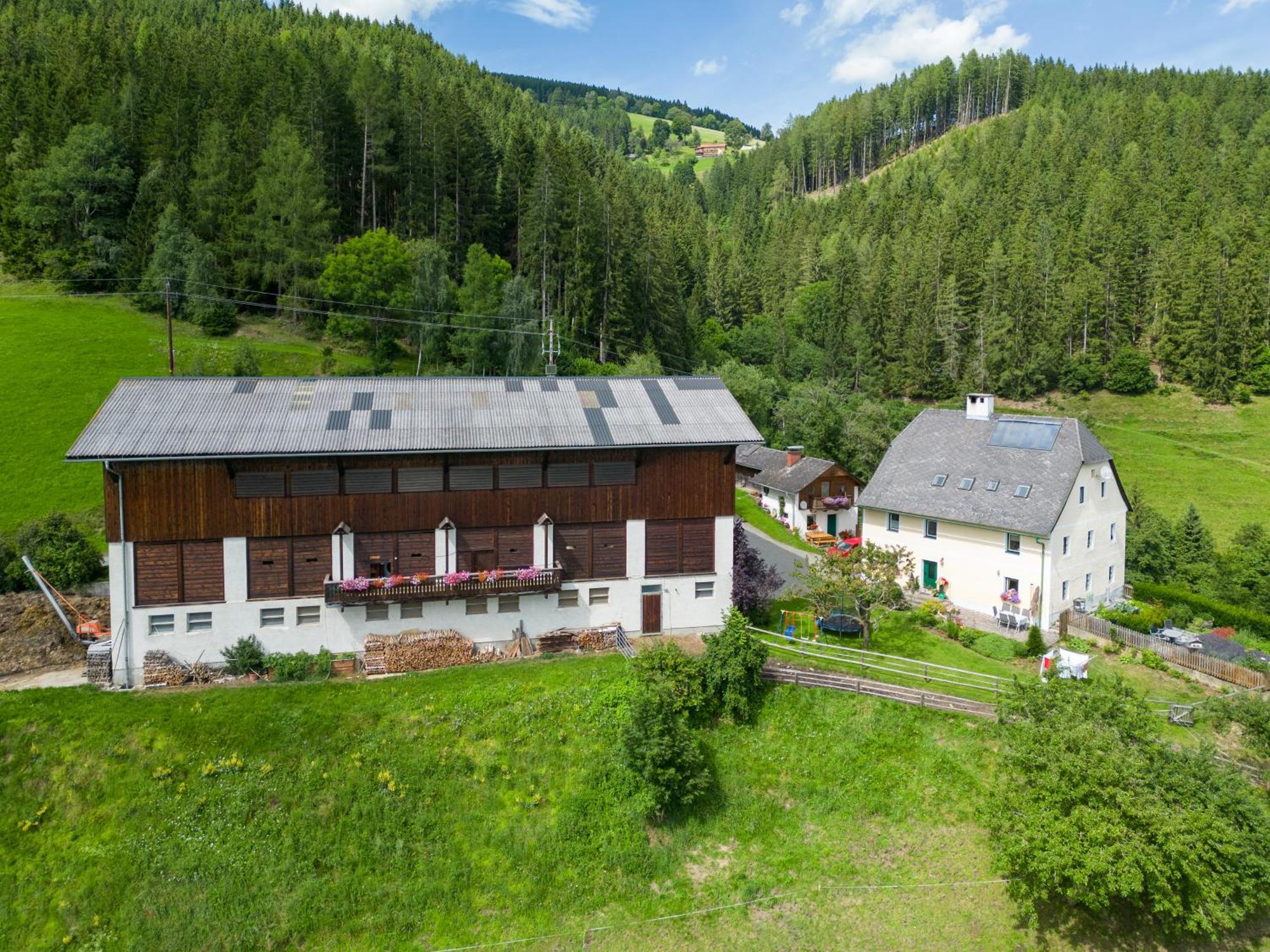 Villa Hochfelner-Prutti - Stockerhof à Sankt Marein bei Knittelfeld Extérieur photo