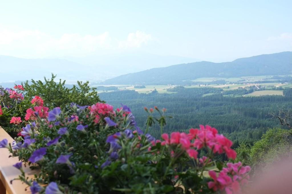 Villa Hochfelner-Prutti - Stockerhof à Sankt Marein bei Knittelfeld Chambre photo